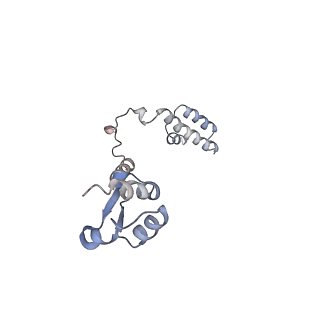 34868_8hl3_L19E_v1-0
Cryo-EM Structures and Translocation Mechanism of Crenarchaeota Ribosome