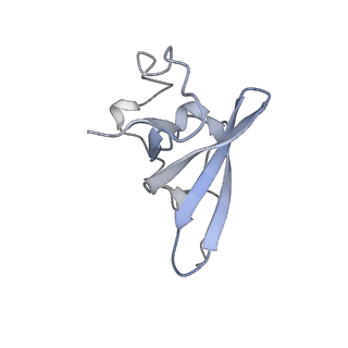 34868_8hl3_L21E_v1-0
Cryo-EM Structures and Translocation Mechanism of Crenarchaeota Ribosome