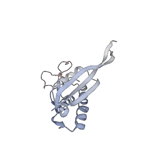 34868_8hl3_L22P_v1-0
Cryo-EM Structures and Translocation Mechanism of Crenarchaeota Ribosome