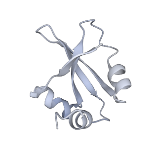 34868_8hl3_L23P_v1-0
Cryo-EM Structures and Translocation Mechanism of Crenarchaeota Ribosome