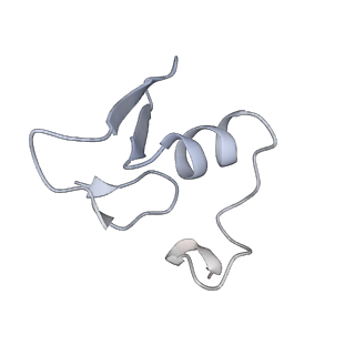 34868_8hl3_L24E_v1-0
Cryo-EM Structures and Translocation Mechanism of Crenarchaeota Ribosome