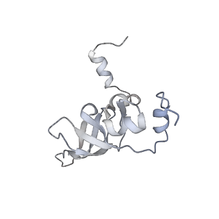 34868_8hl3_L24P_v1-0
Cryo-EM Structures and Translocation Mechanism of Crenarchaeota Ribosome