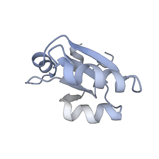 34868_8hl3_L30E_v1-0
Cryo-EM Structures and Translocation Mechanism of Crenarchaeota Ribosome