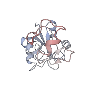 34868_8hl3_L30P_v1-0
Cryo-EM Structures and Translocation Mechanism of Crenarchaeota Ribosome