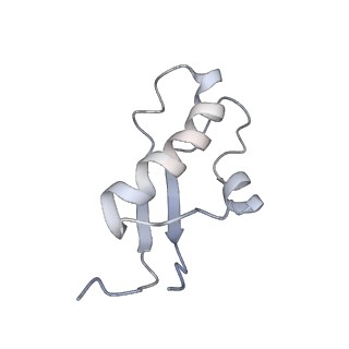 34868_8hl3_L31E_v1-0
Cryo-EM Structures and Translocation Mechanism of Crenarchaeota Ribosome