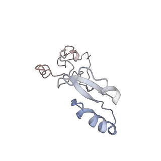 34868_8hl3_L32E_v1-0
Cryo-EM Structures and Translocation Mechanism of Crenarchaeota Ribosome