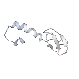 34868_8hl3_L37A_v1-0
Cryo-EM Structures and Translocation Mechanism of Crenarchaeota Ribosome