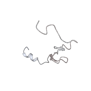 34868_8hl3_L37E_v1-0
Cryo-EM Structures and Translocation Mechanism of Crenarchaeota Ribosome