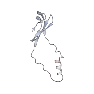 34868_8hl3_L44E_v1-0
Cryo-EM Structures and Translocation Mechanism of Crenarchaeota Ribosome
