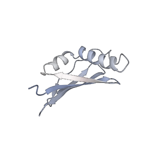 34868_8hl3_L45A_v1-0
Cryo-EM Structures and Translocation Mechanism of Crenarchaeota Ribosome