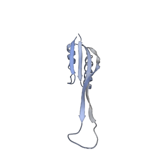 34868_8hl3_S10P_v1-0
Cryo-EM Structures and Translocation Mechanism of Crenarchaeota Ribosome