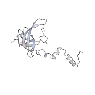 34868_8hl3_S12P_v1-0
Cryo-EM Structures and Translocation Mechanism of Crenarchaeota Ribosome