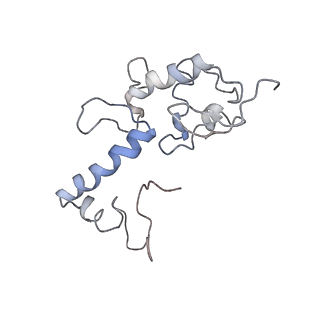 34868_8hl3_S13P_v1-0
Cryo-EM Structures and Translocation Mechanism of Crenarchaeota Ribosome