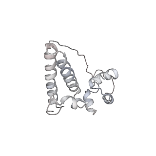 34868_8hl3_S15P_v1-0
Cryo-EM Structures and Translocation Mechanism of Crenarchaeota Ribosome