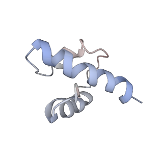 34868_8hl3_S17E_v1-0
Cryo-EM Structures and Translocation Mechanism of Crenarchaeota Ribosome