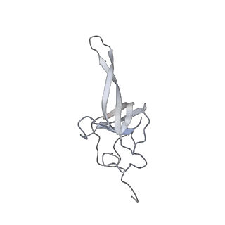 34868_8hl3_S17P_v1-0
Cryo-EM Structures and Translocation Mechanism of Crenarchaeota Ribosome