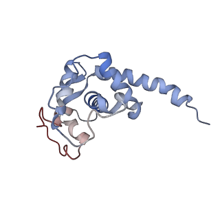 34868_8hl3_S19E_v1-0
Cryo-EM Structures and Translocation Mechanism of Crenarchaeota Ribosome