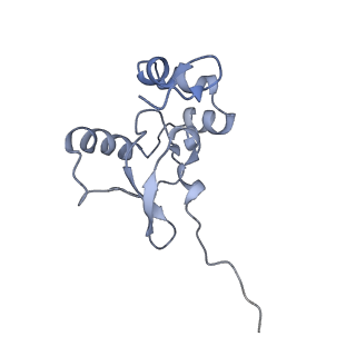 34868_8hl3_S19P_v1-0
Cryo-EM Structures and Translocation Mechanism of Crenarchaeota Ribosome