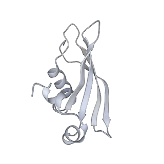 34868_8hl3_S24E_v1-0
Cryo-EM Structures and Translocation Mechanism of Crenarchaeota Ribosome