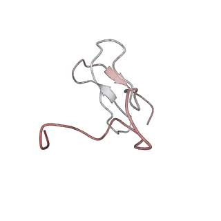 34868_8hl3_S27A_v1-0
Cryo-EM Structures and Translocation Mechanism of Crenarchaeota Ribosome