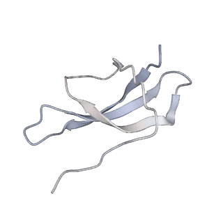 34868_8hl3_S28E_v1-0
Cryo-EM Structures and Translocation Mechanism of Crenarchaeota Ribosome