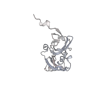 34868_8hl3_S3AE_v1-0
Cryo-EM Structures and Translocation Mechanism of Crenarchaeota Ribosome
