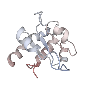 34868_8hl3_SL7A_v1-0
Cryo-EM Structures and Translocation Mechanism of Crenarchaeota Ribosome
