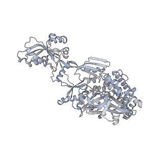 34869_8hl4_AEFG_v1-0
Cryo-EM Structures and Translocation Mechanism of Crenarchaeota Ribosome
