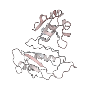 34869_8hl4_AL1P_v1-0
Cryo-EM Structures and Translocation Mechanism of Crenarchaeota Ribosome