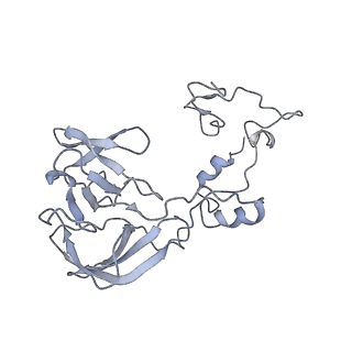 34869_8hl4_AL2P_v1-0
Cryo-EM Structures and Translocation Mechanism of Crenarchaeota Ribosome