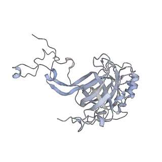 34869_8hl4_AL3P_v1-0
Cryo-EM Structures and Translocation Mechanism of Crenarchaeota Ribosome