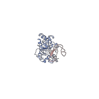 34869_8hl4_AL4P_v1-0
Cryo-EM Structures and Translocation Mechanism of Crenarchaeota Ribosome