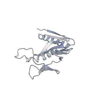 34869_8hl4_AL6P_v1-0
Cryo-EM Structures and Translocation Mechanism of Crenarchaeota Ribosome