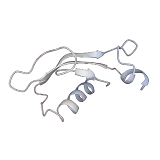 34869_8hl4_ALX0_v1-0
Cryo-EM Structures and Translocation Mechanism of Crenarchaeota Ribosome