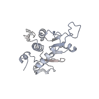 34869_8hl4_AS2P_v1-0
Cryo-EM Structures and Translocation Mechanism of Crenarchaeota Ribosome
