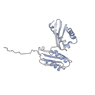 34869_8hl4_AS3P_v1-0
Cryo-EM Structures and Translocation Mechanism of Crenarchaeota Ribosome