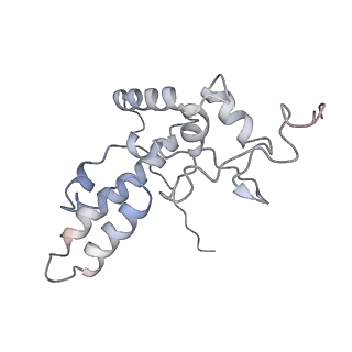 34869_8hl4_AS4P_v1-0
Cryo-EM Structures and Translocation Mechanism of Crenarchaeota Ribosome