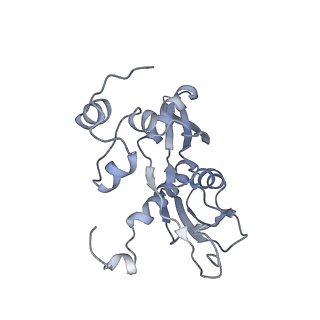 34869_8hl4_AS5P_v1-0
Cryo-EM Structures and Translocation Mechanism of Crenarchaeota Ribosome