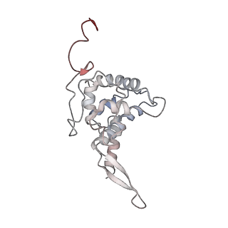 34869_8hl4_AS7P_v1-0
Cryo-EM Structures and Translocation Mechanism of Crenarchaeota Ribosome