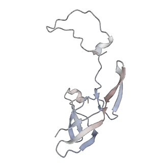 34869_8hl4_AS8E_v1-0
Cryo-EM Structures and Translocation Mechanism of Crenarchaeota Ribosome