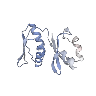 34869_8hl4_AS8P_v1-0
Cryo-EM Structures and Translocation Mechanism of Crenarchaeota Ribosome