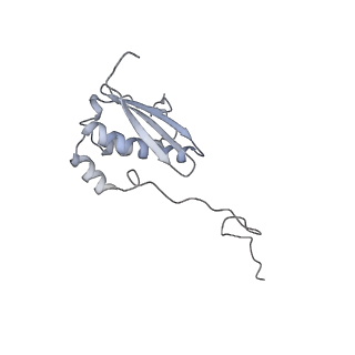 34869_8hl4_AS9P_v1-0
Cryo-EM Structures and Translocation Mechanism of Crenarchaeota Ribosome