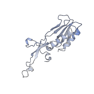 34869_8hl4_L10E_v1-0
Cryo-EM Structures and Translocation Mechanism of Crenarchaeota Ribosome