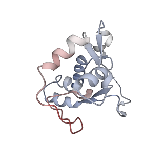34869_8hl4_L13P_v1-0
Cryo-EM Structures and Translocation Mechanism of Crenarchaeota Ribosome