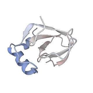 34869_8hl4_L141_v1-0
Cryo-EM Structures and Translocation Mechanism of Crenarchaeota Ribosome