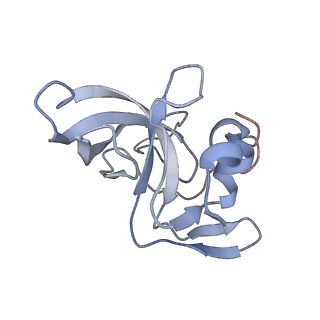 34869_8hl4_L14P_v1-0
Cryo-EM Structures and Translocation Mechanism of Crenarchaeota Ribosome