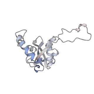 34869_8hl4_L15E_v1-0
Cryo-EM Structures and Translocation Mechanism of Crenarchaeota Ribosome