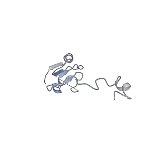 34869_8hl4_L15P_v1-0
Cryo-EM Structures and Translocation Mechanism of Crenarchaeota Ribosome