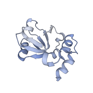 34869_8hl4_L18E_v1-0
Cryo-EM Structures and Translocation Mechanism of Crenarchaeota Ribosome