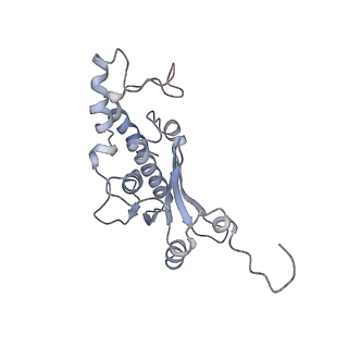 34869_8hl4_L18P_v1-0
Cryo-EM Structures and Translocation Mechanism of Crenarchaeota Ribosome